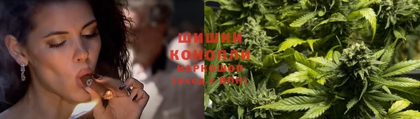 гашик Алзамай