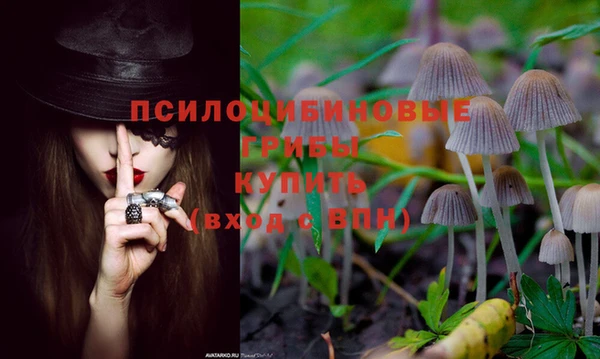 гашик Алзамай