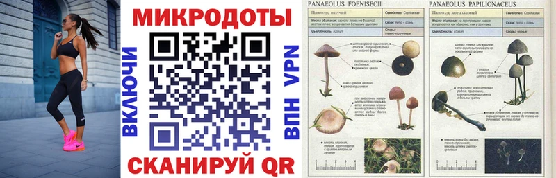 Псилоцибиновые грибы Psilocybe  наркотики  Киров 